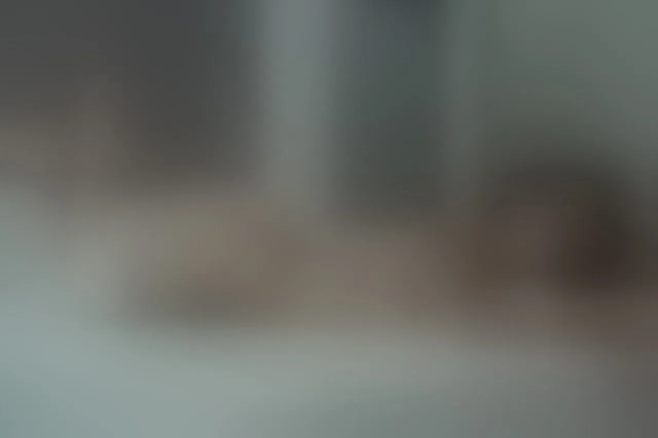 Live sex webcam photo for EmaFox #7286297