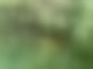 Live sex webcam photo for KensleeFaye #8180056
