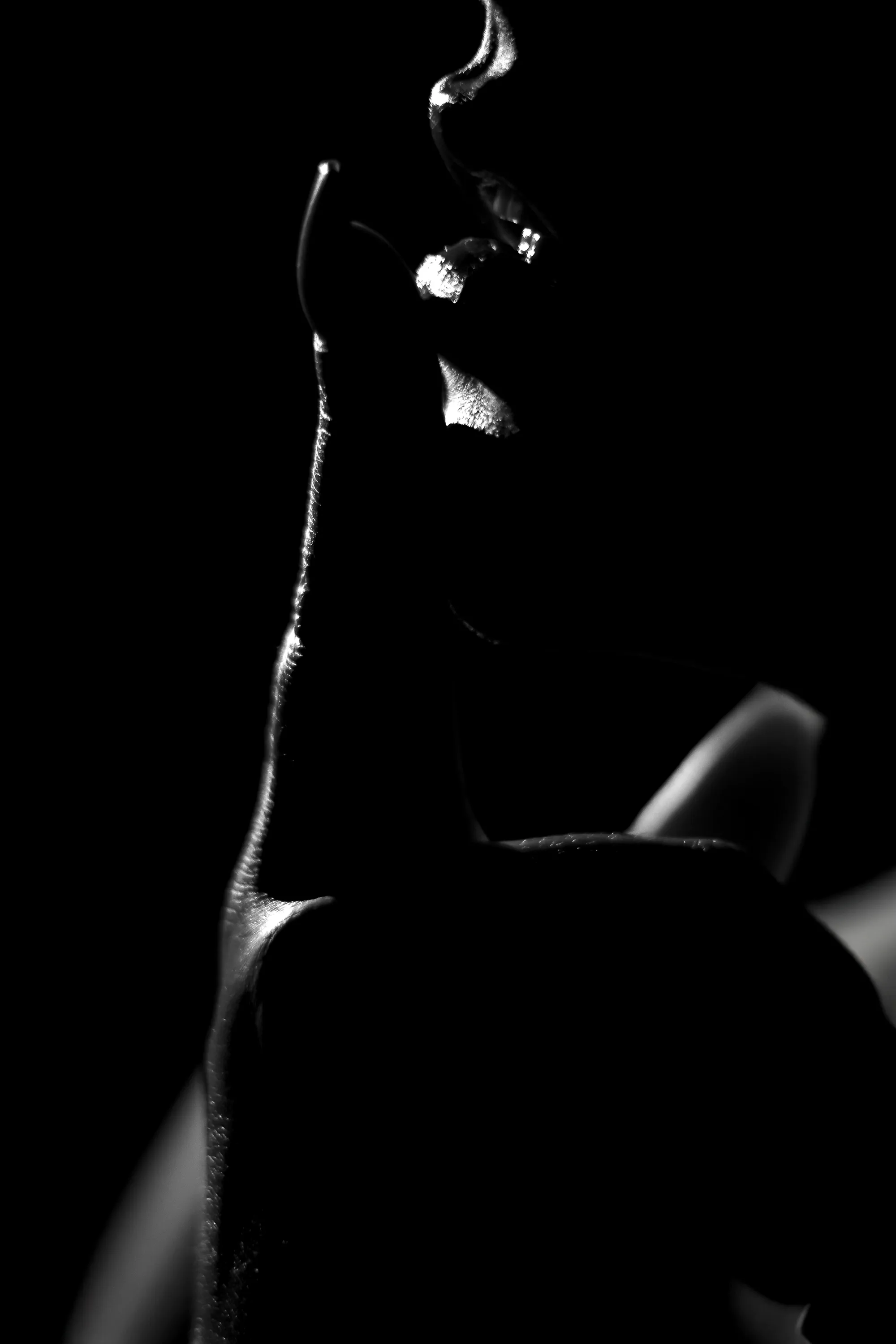 Live sex webcam photo for Ambeer_Carterr #7807684