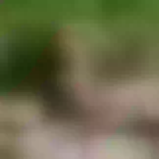 Live sex webcam photo for IndianShiaaa #7929099