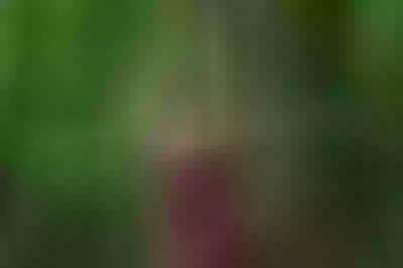 Live sex webcam photo for IndianShiaaa #7929037