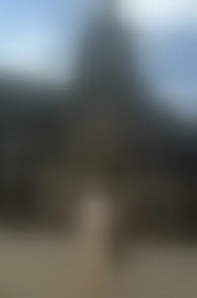 Live sex webcam photo for IndianShiaaa #7929022