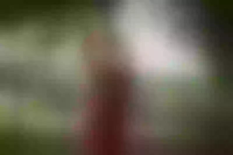 Live sex webcam photo for IndianShiaaa #7929036