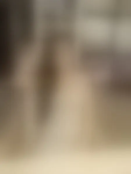 Live sex webcam photo for IndianShiaaa #7929024