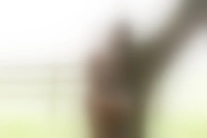 Live sex webcam photo for IndianShiaaa #7929014
