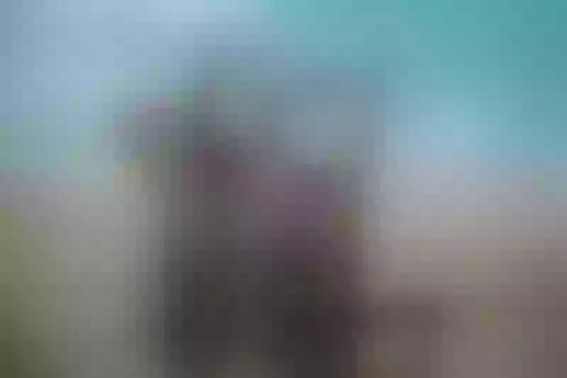 Live sex webcam photo for IndianShiaaa #7929057