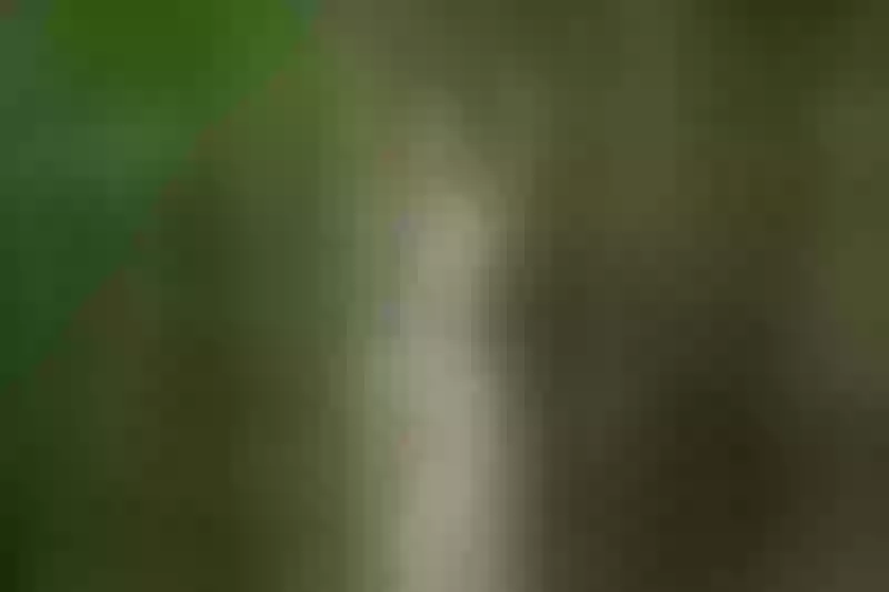 Live sex webcam photo for IndianShiaaa #7928987