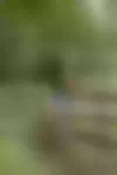 Live sex webcam photo for IndianShiaaa #7929069