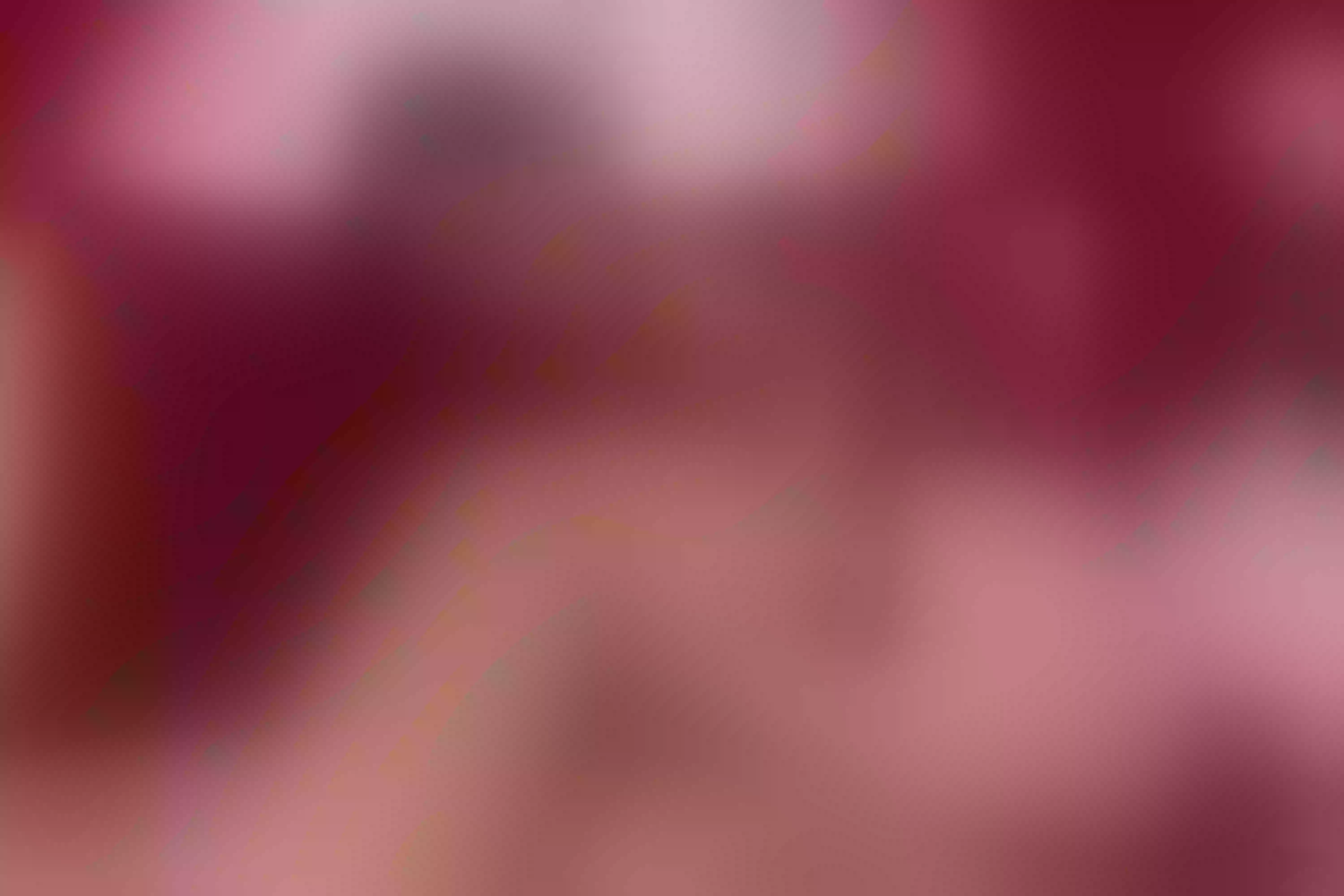 Live sex webcam photo for girasol_walton #7880609