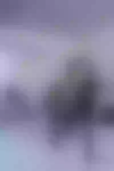Live sex webcam photo for hollythomson #1993303