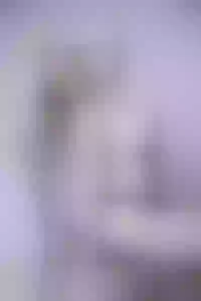 Live sex webcam photo for LorelaiMedina #2239900