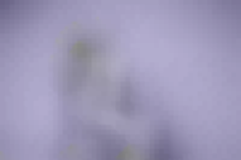 Live sex webcam photo for LorelaiMedina #2239899