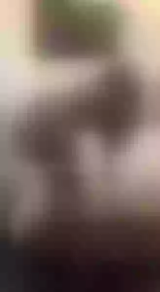 Live sex webcam photo for Strong_Brunette #2184017