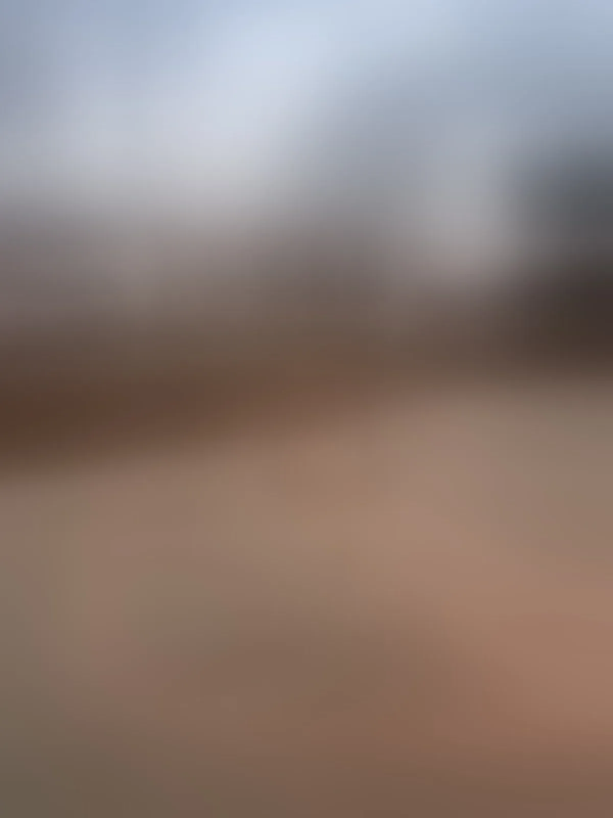 Live sex webcam photo for AmbarSimson #7923996