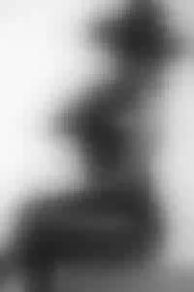 Live sex webcam photo for AmbarSimson #7397076