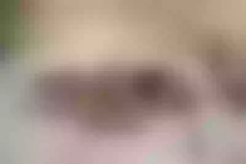 Live sex webcam photo for EllyElectra #1868045