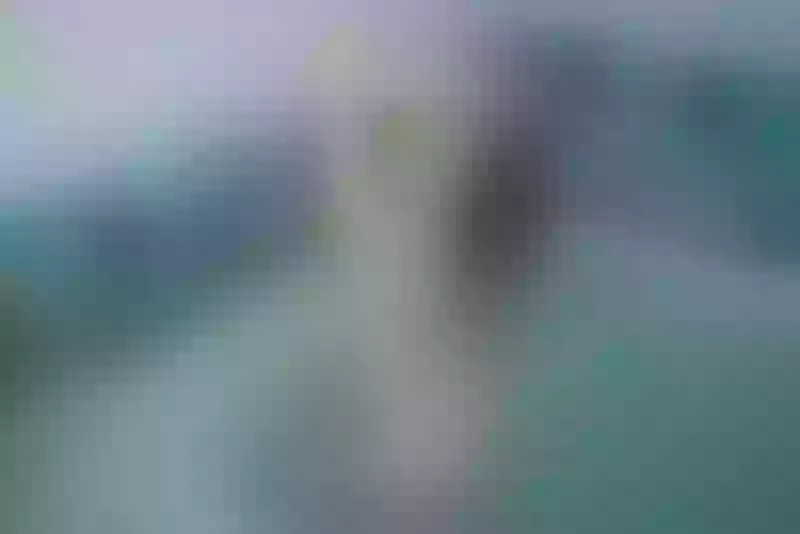 Live sex webcam photo for EllyElectra #2326450