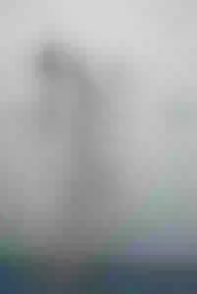 Live sex webcam photo for EllyElectra #2326446