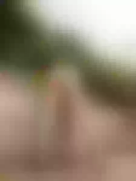 Live sex webcam photo for FORNIKT #1786130