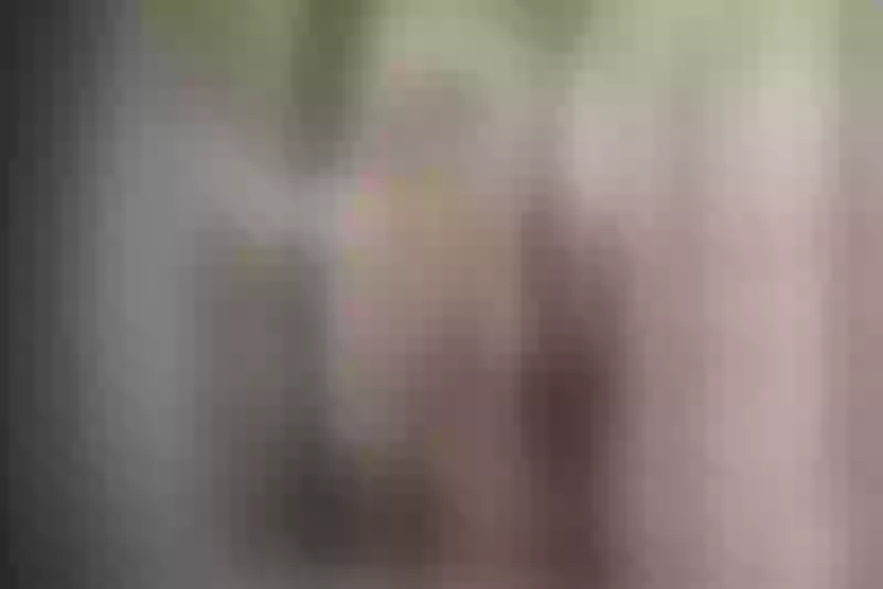 Live sex webcam photo for Karla_Hudsson #3112779