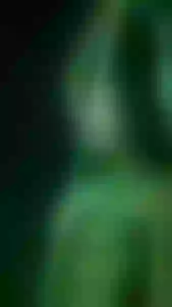 Live sex webcam photo for KimTaylorr #2157256