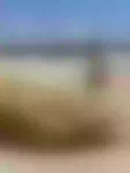 Live sex webcam photo for MilaLiddel #3439551