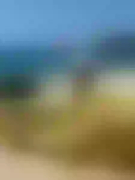 Live sex webcam photo for MilaLiddel #3439548