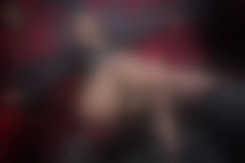 Live sex webcam photo for KaoriAllen #1950085