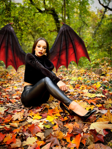 Live sex webcam photo for SierraKnight #3649736