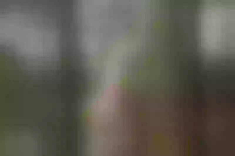 Live sex webcam photo for LadyConnor #5411109