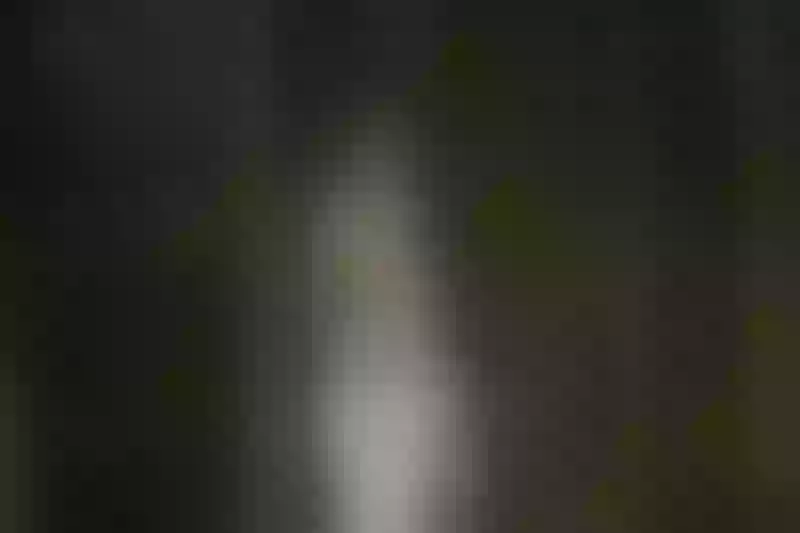 Live sex webcam photo for LadyConnor #5411112