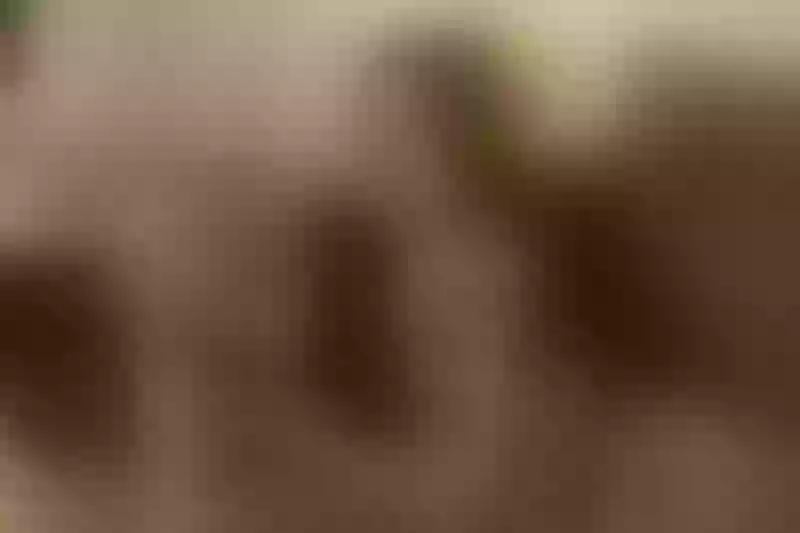Live sex webcam photo for mollybones #3671983