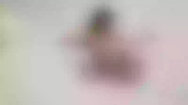 Live sex webcam photo for mollybones #3223015