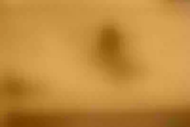 Live sex webcam photo for mollybones #3223006