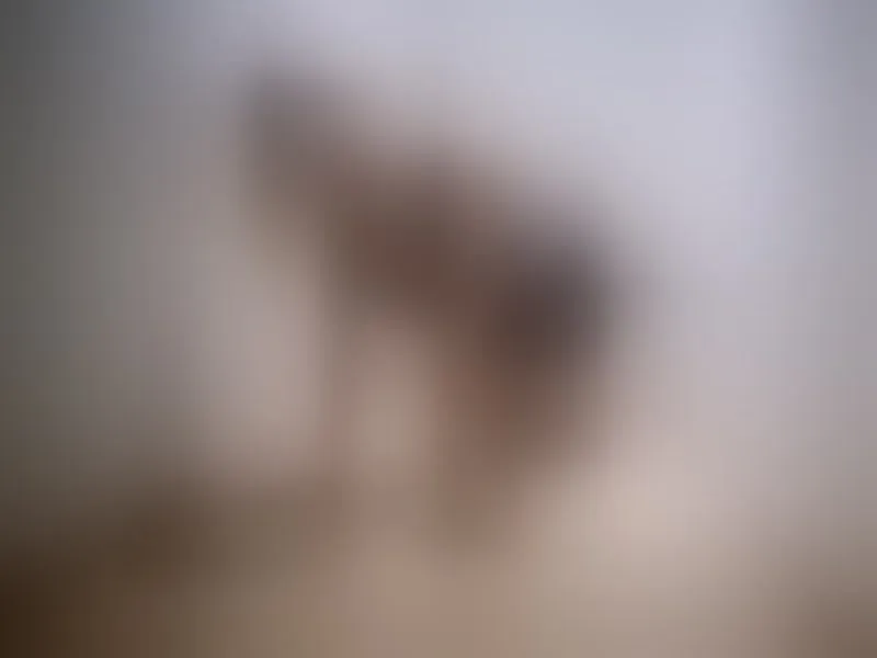 Live sex webcam photo for SonyaDevon #7407071