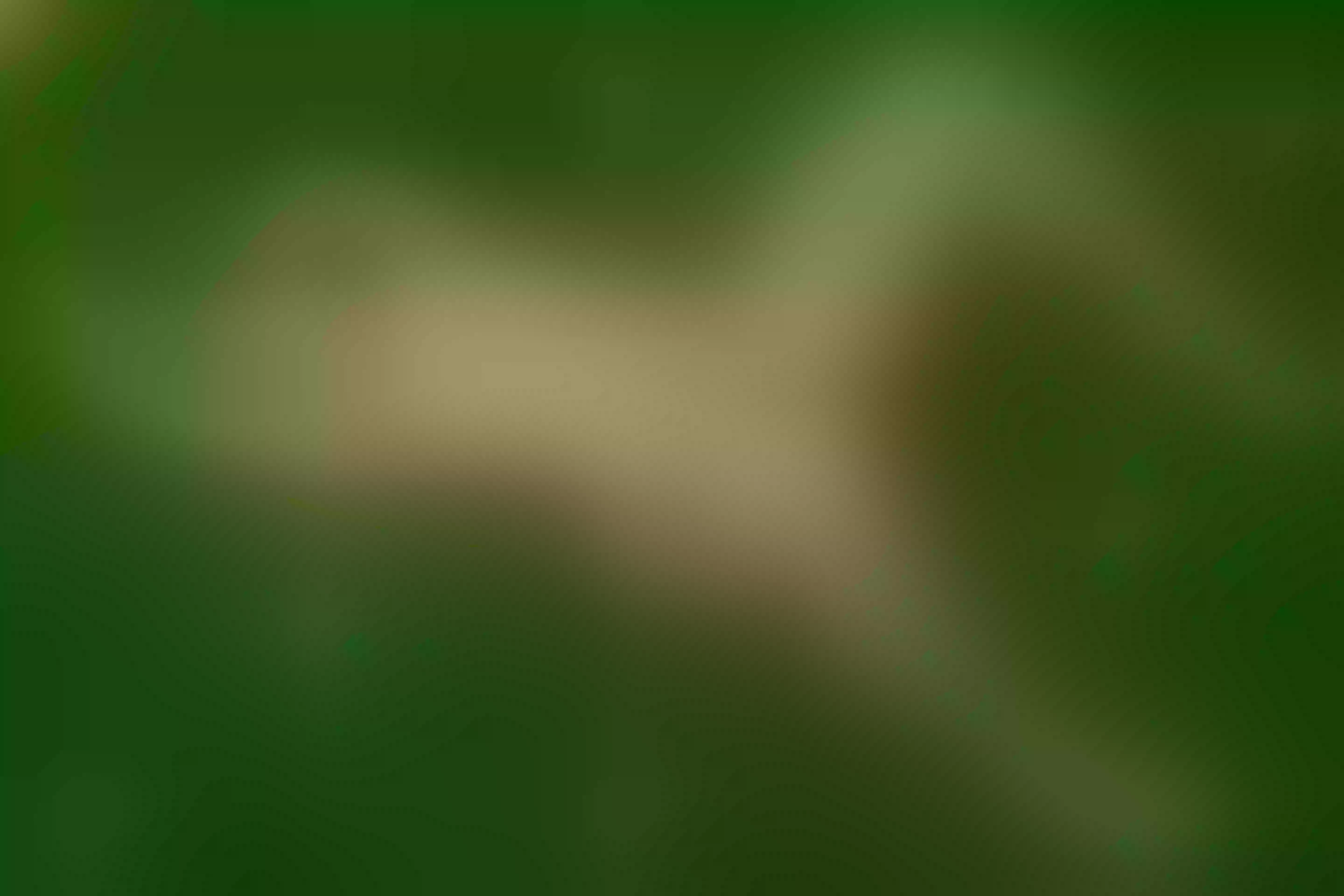 Live sex webcam photo for SammyRoberts #6424509
