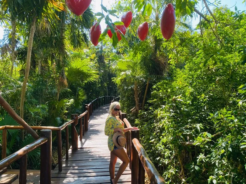 Live sex webcam photo for FoxyBlonde24 #1891787