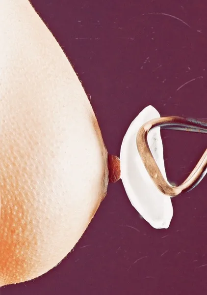 Live sex webcam photo for RainBowww #1862786