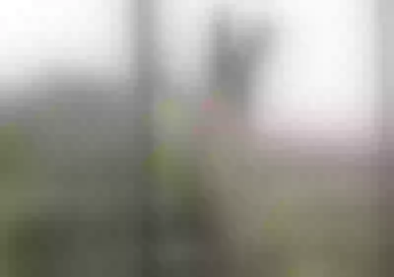 Live sex webcam photo for SashaSthone #3448683