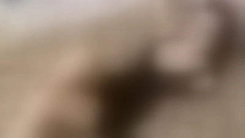 Live sex webcam photo for GigiLauren #8408745
