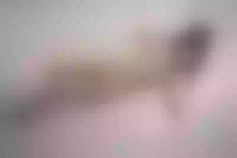 Live sex webcam photo for AryannaMoon #3056186