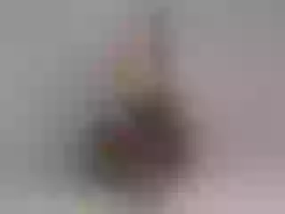 Live sex webcam photo for YamiraKim #8054348
