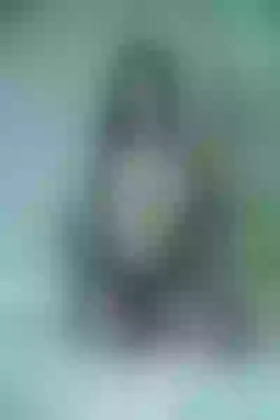 Live sex webcam photo for MiraShepard #2292657