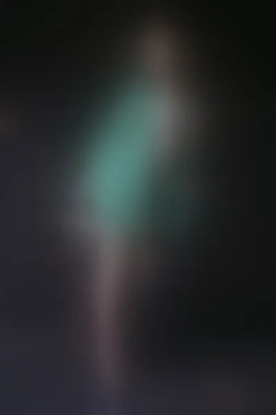 Live sex webcam photo for MiraShepard #2292653