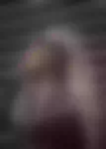 Live sex webcam photo for SophieAndrews #7836054