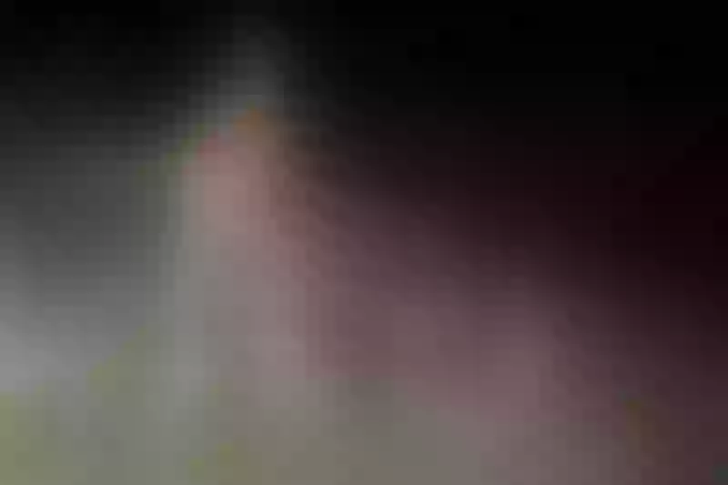 Live sex webcam photo for nikpassion123 #2428273