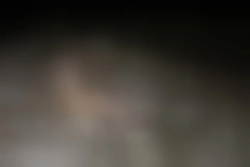 Live sex webcam photo for nikpassion123 #2428270