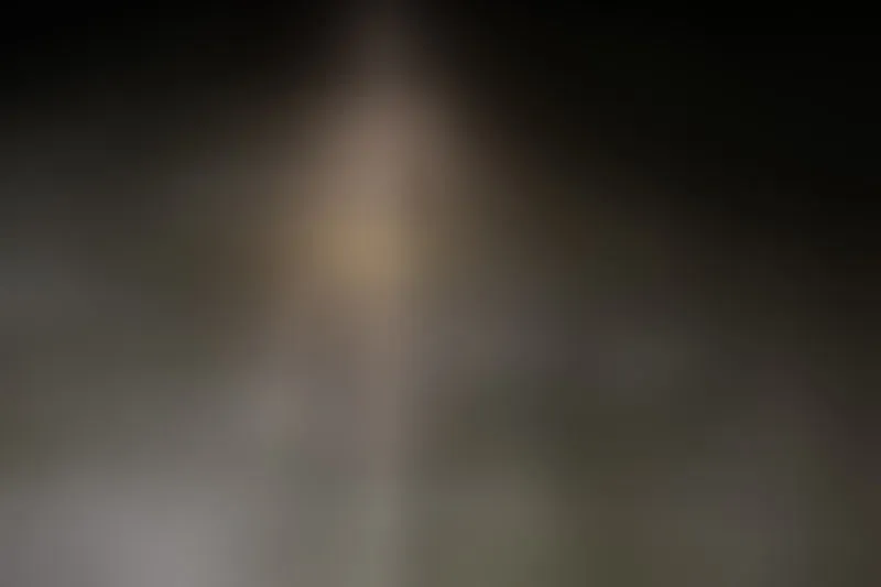 Live sex webcam photo for nikpassion123 #2428265