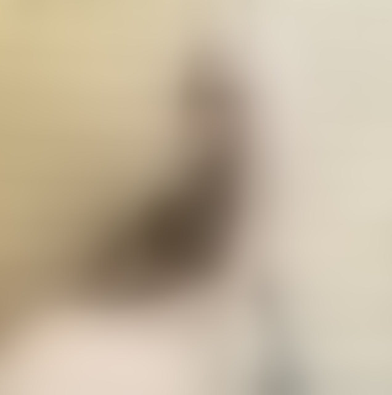 Live sex webcam photo for SophieMaeve #7788616