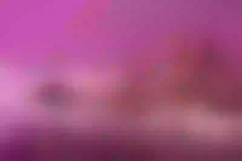 Live sex webcam photo for VivianneStein #3043167